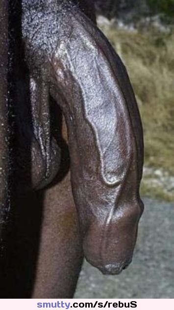 panty and stocking with garterbelt base #gif #hung #black #bbc #cock #penis #dick #slap